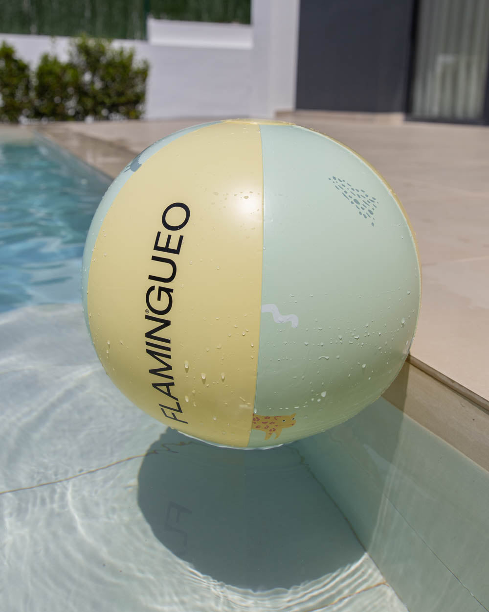 pelota hinchable niños flamingueo