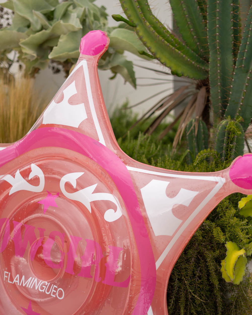 Carro alegórico estrela de cowboy rosa - Texas