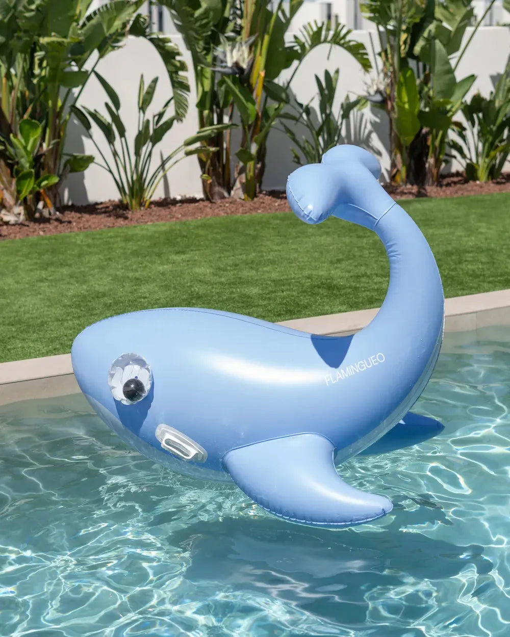 Flutuador insuflável de baleia gigante para criança – BLUF