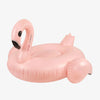 Boia gigante de flamingo - BOB
