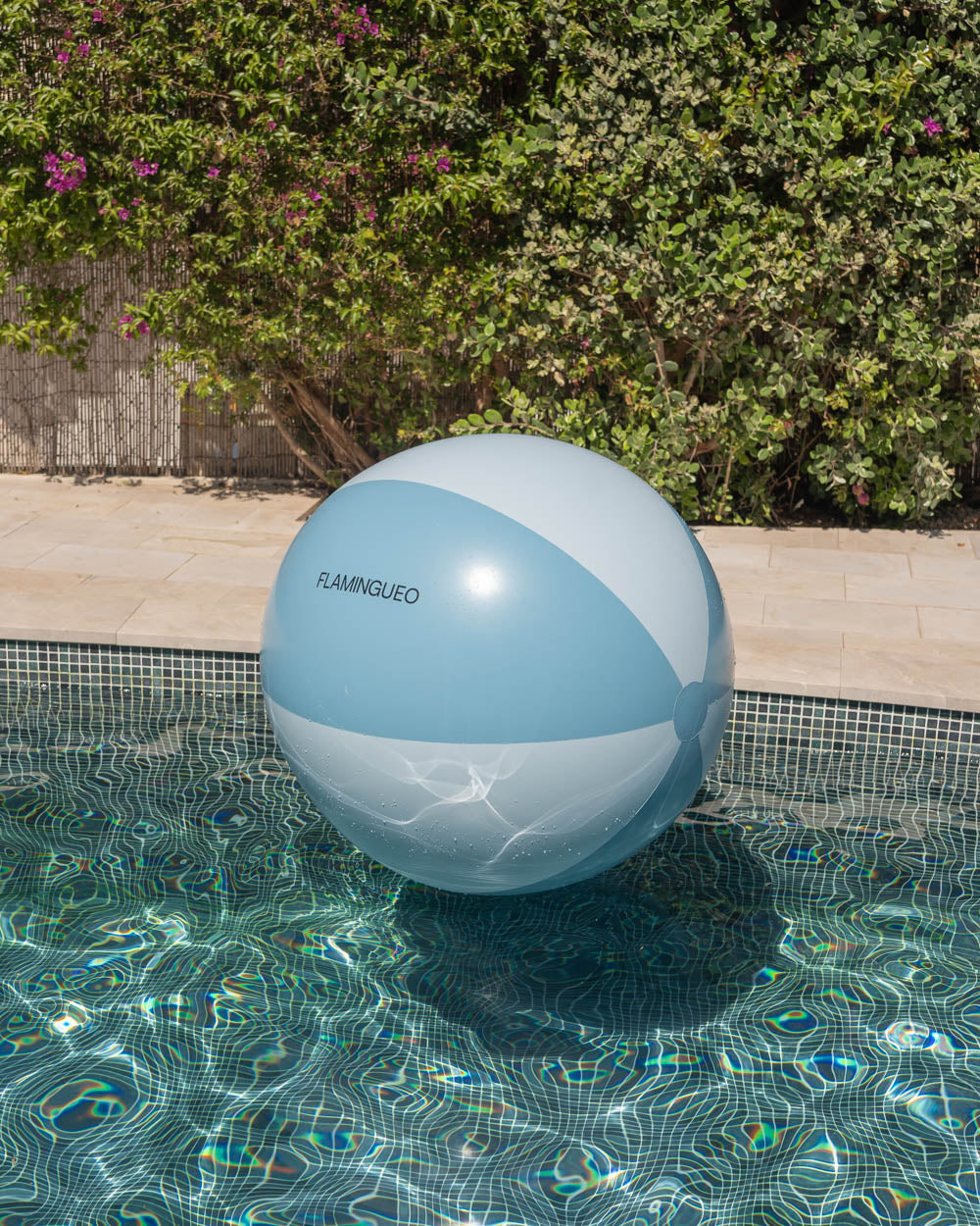 pelota hinchable extra grande