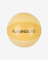 pelota hinchable piscina y playa