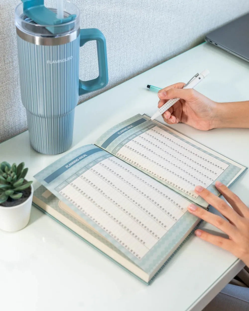 Agenda - FLOW - Flamingueo