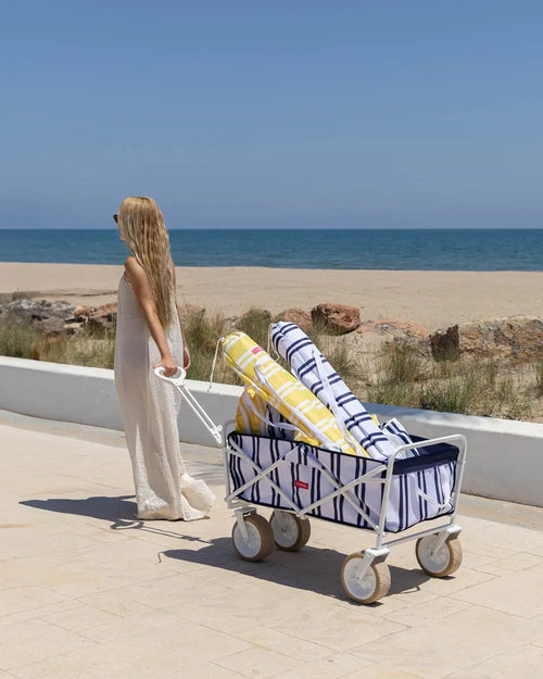 Blue beach cart I Flamingueo