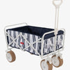 Carrito de playa azul - ABEL