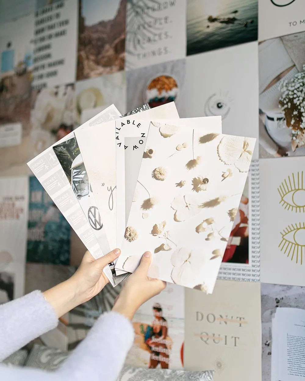 Set de 50 fotos - DREAMLAND - Flamingueo