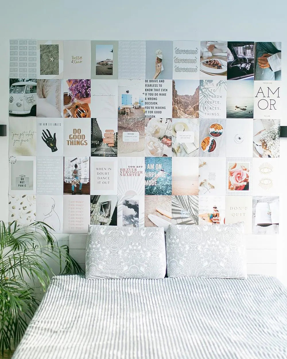 Set de 50 fotos - DREAMLAND - Flamingueo