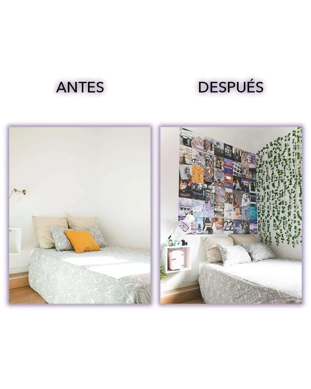 Set de 50 fotos - RIVERSLAND - Flamingueo