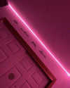 ADDISON - Tira de luces led 5 metros - Flamingueo